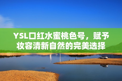 YSL口红水蜜桃色号，赋予妆容清新自然的完美选择