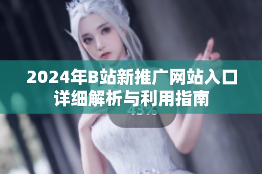 2024年B站新推广网站入口详细解析与利用指南
