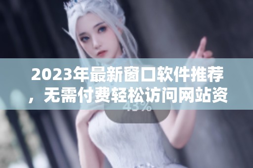 2023年最新窗口软件推荐，无需付费轻松访问网站资源