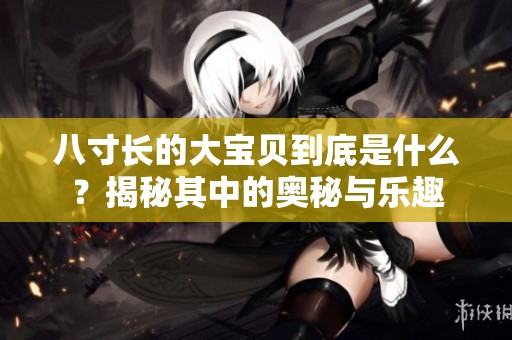 八寸长的大宝贝到底是什么？揭秘其中的奥秘与乐趣