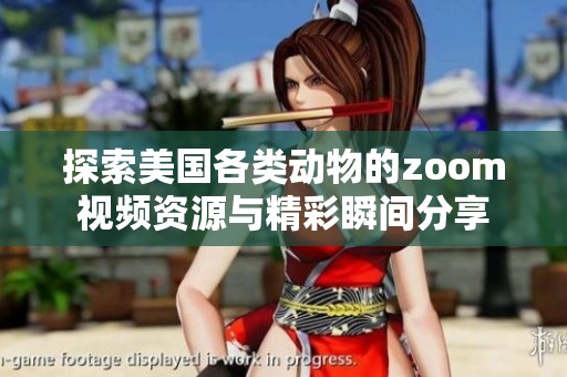 探索美国各类动物的zoom视频资源与精彩瞬间分享