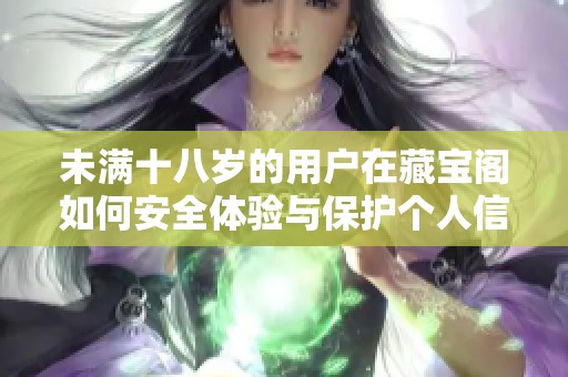 未满十八岁的用户在藏宝阁如何安全体验与保护个人信息