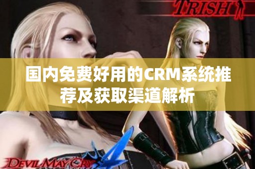 国内免费好用的CRM系统推荐及获取渠道解析