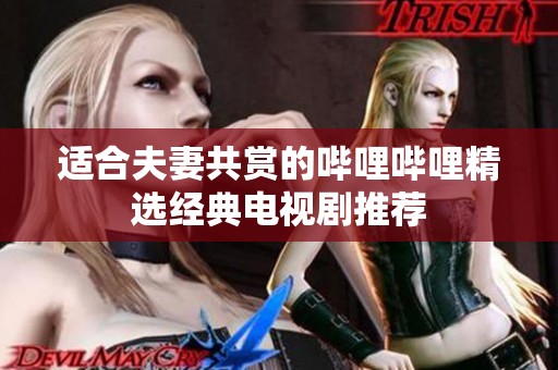 适合夫妻共赏的哔哩哔哩精选经典电视剧推荐