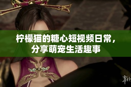 柠檬猫的糖心短视频日常，分享萌宠生活趣事