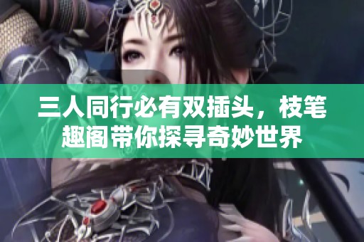 三人同行必有双插头，枝笔趣阁带你探寻奇妙世界