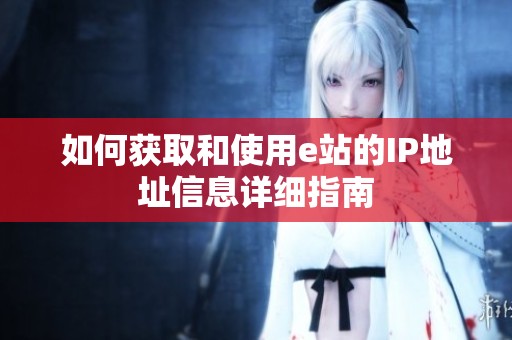 如何获取和使用e站的IP地址信息详细指南