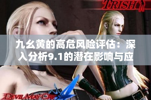 九幺黄的高危风险评估：深入分析9.1的潜在影响与应对策略