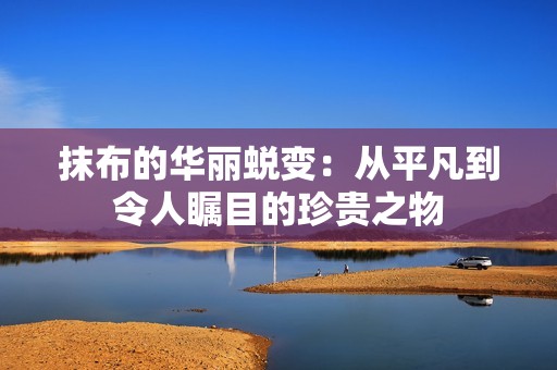 抹布的华丽蜕变：从平凡到令人瞩目的珍贵之物