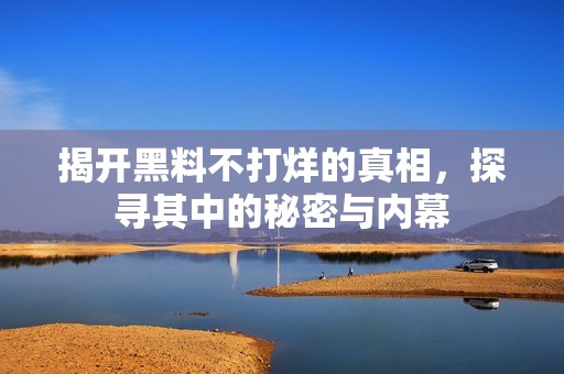 揭开黑料不打烊的真相，探寻其中的秘密与内幕