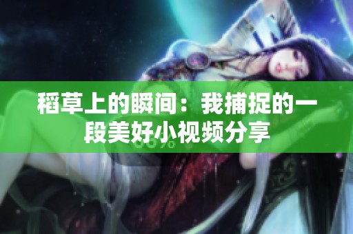 稻草上的瞬间：我捕捉的一段美好小视频分享