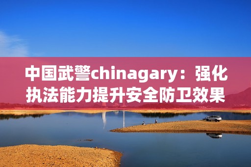 中国武警chinagary：强化执法能力提升安全防卫效果