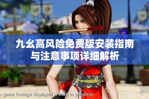 九幺高风险免费版安装指南与注意事项详细解析