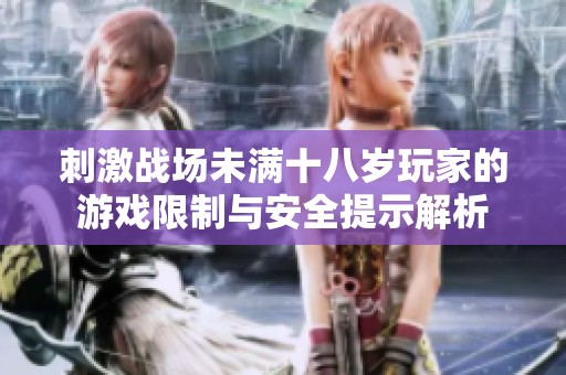 刺激战场未满十八岁玩家的游戏限制与安全提示解析