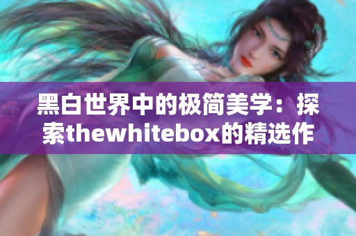 黑白世界中的极简美学：探索thewhitebox的精选作品