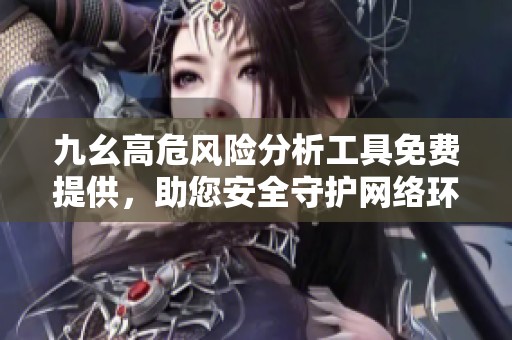 九幺高危风险分析工具免费提供，助您安全守护网络环境