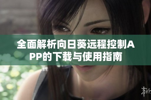 全面解析向日葵远程控制APP的下载与使用指南