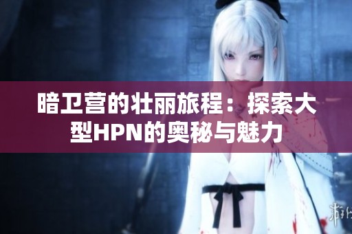 暗卫营的壮丽旅程：探索大型HPN的奥秘与魅力