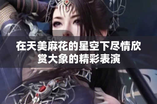 在天美麻花的星空下尽情欣赏大象的精彩表演