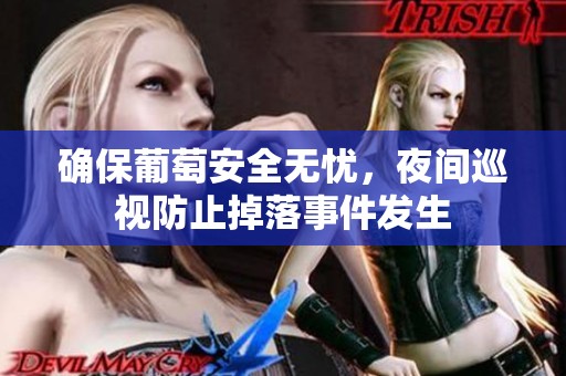 确保葡萄安全无忧，夜间巡视防止掉落事件发生