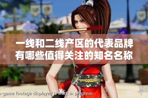 一线和二线产区的代表品牌有哪些值得关注的知名名称