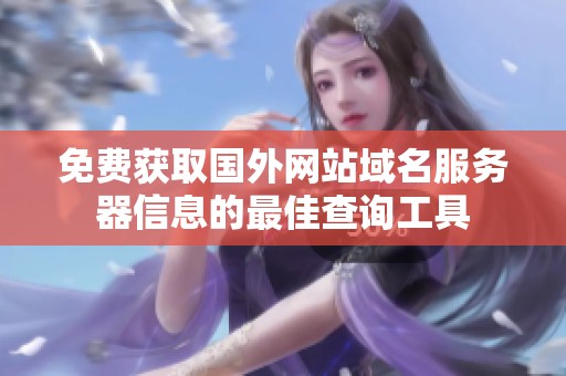 免费获取国外网站域名服务器信息的最佳查询工具