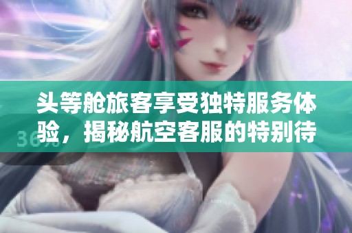 头等舱旅客享受独特服务体验，揭秘航空客服的特别待遇