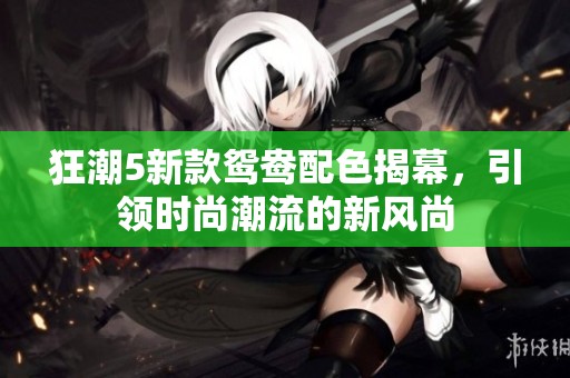 狂潮5新款鸳鸯配色揭幕，引领时尚潮流的新风尚
