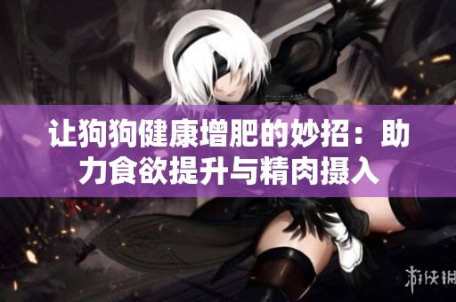 让狗狗健康增肥的妙招：助力食欲提升与精肉摄入