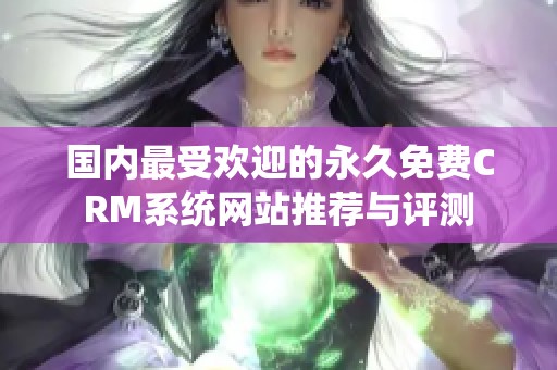 国内最受欢迎的永久免费CRM系统网站推荐与评测