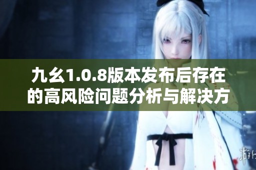九幺1.0.8版本发布后存在的高风险问题分析与解决方案