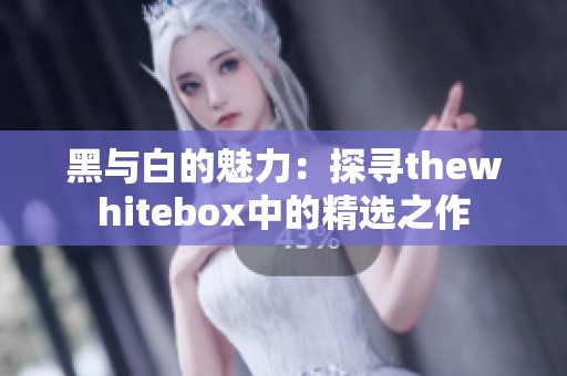 黑与白的魅力：探寻thewhitebox中的精选之作