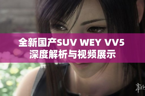 全新国产SUV WEY VV5 深度解析与视频展示