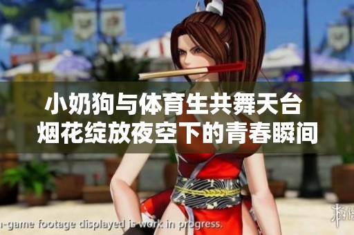小奶狗与体育生共舞天台 烟花绽放夜空下的青春瞬间