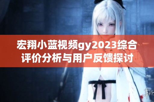 宏翔小蓝视频gy2023综合评价分析与用户反馈探讨