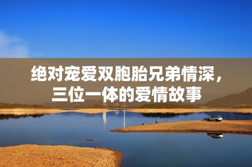 绝对宠爱双胞胎兄弟情深，三位一体的爱情故事