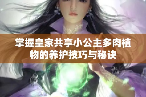 掌握皇家共享小公主多肉植物的养护技巧与秘诀