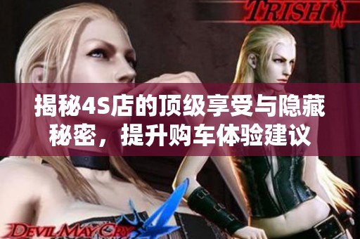 揭秘4S店的顶级享受与隐藏秘密，提升购车体验建议