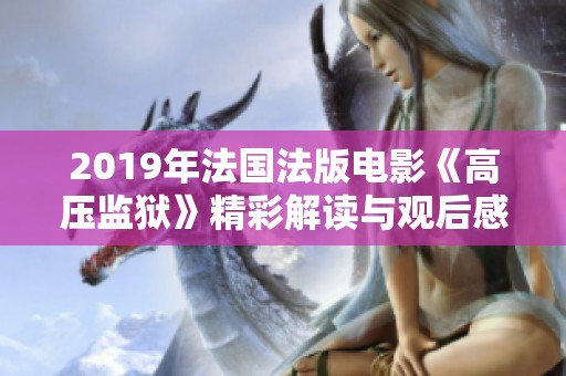 2019年法国法版电影《高压监狱》精彩解读与观后感