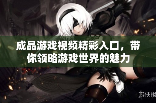 成品游戏视频精彩入口，带你领略游戏世界的魅力