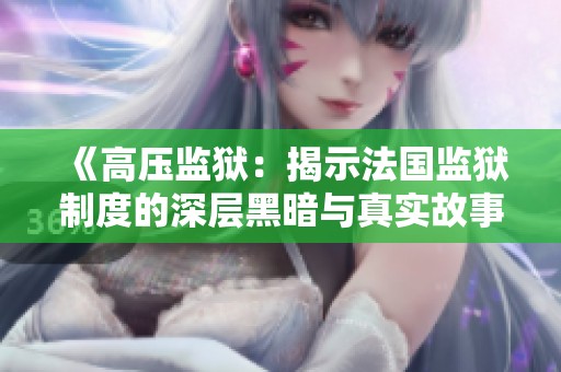 《高压监狱：揭示法国监狱制度的深层黑暗与真实故事》