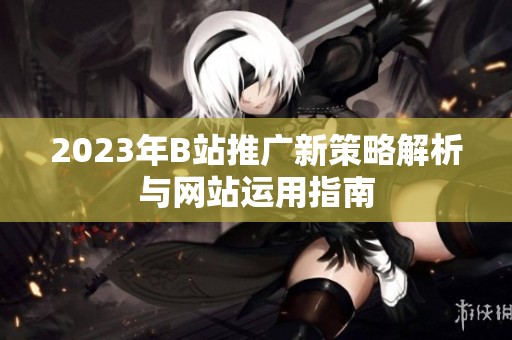 2023年B站推广新策略解析与网站运用指南