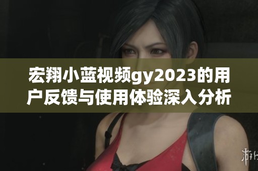 宏翔小蓝视频gy2023的用户反馈与使用体验深入分析