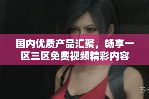 国内优质产品汇聚，畅享一区三区免费视频精彩内容