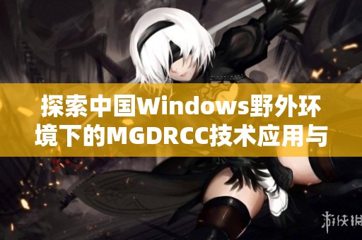探索中国Windows野外环境下的MGDRCC技术应用与挑战