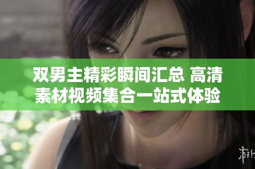 双男主精彩瞬间汇总 高清素材视频集合一站式体验