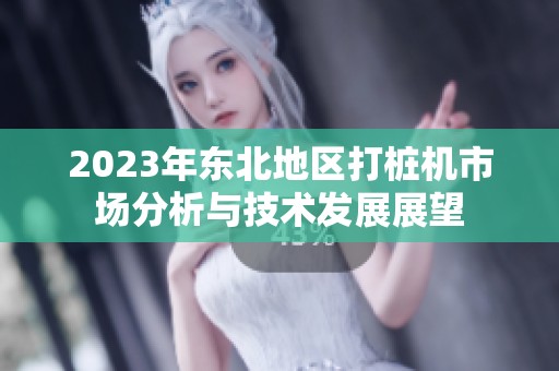 2023年东北地区打桩机市场分析与技术发展展望