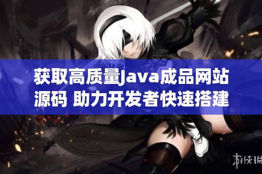 获取高质量Java成品网站源码 助力开发者快速搭建网站