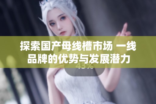 探索国产母线槽市场 一线品牌的优势与发展潜力