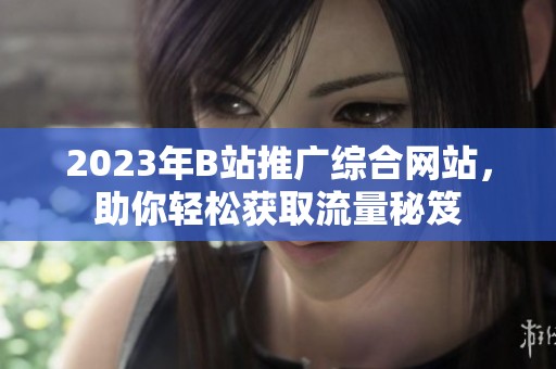 2023年B站推广综合网站，助你轻松获取流量秘笈
